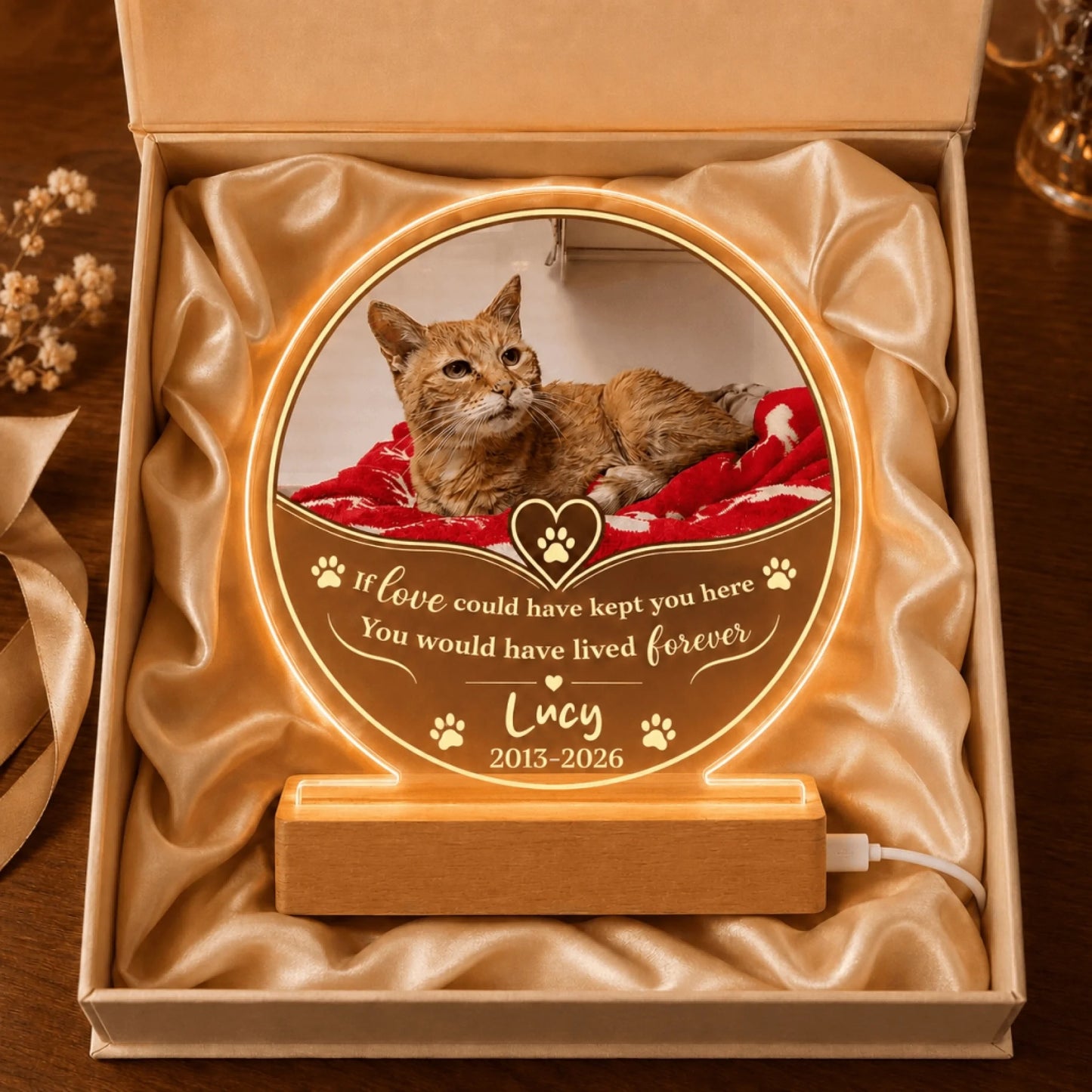 Personalized cat memorial night light packed in a luxury gift box, featuring custom pet photo, name, and dates for loss of pet sympathy.
