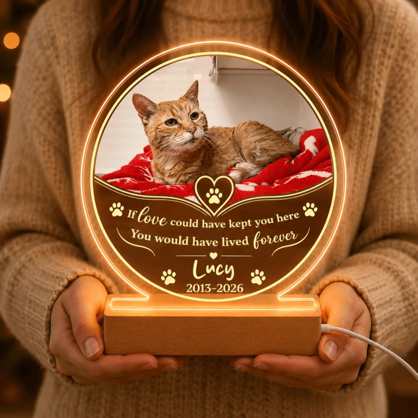 Hands holding a custom cat memorial LED night light with a photo of an orange cat and a heartfelt sympathy quote for pet remembrance.