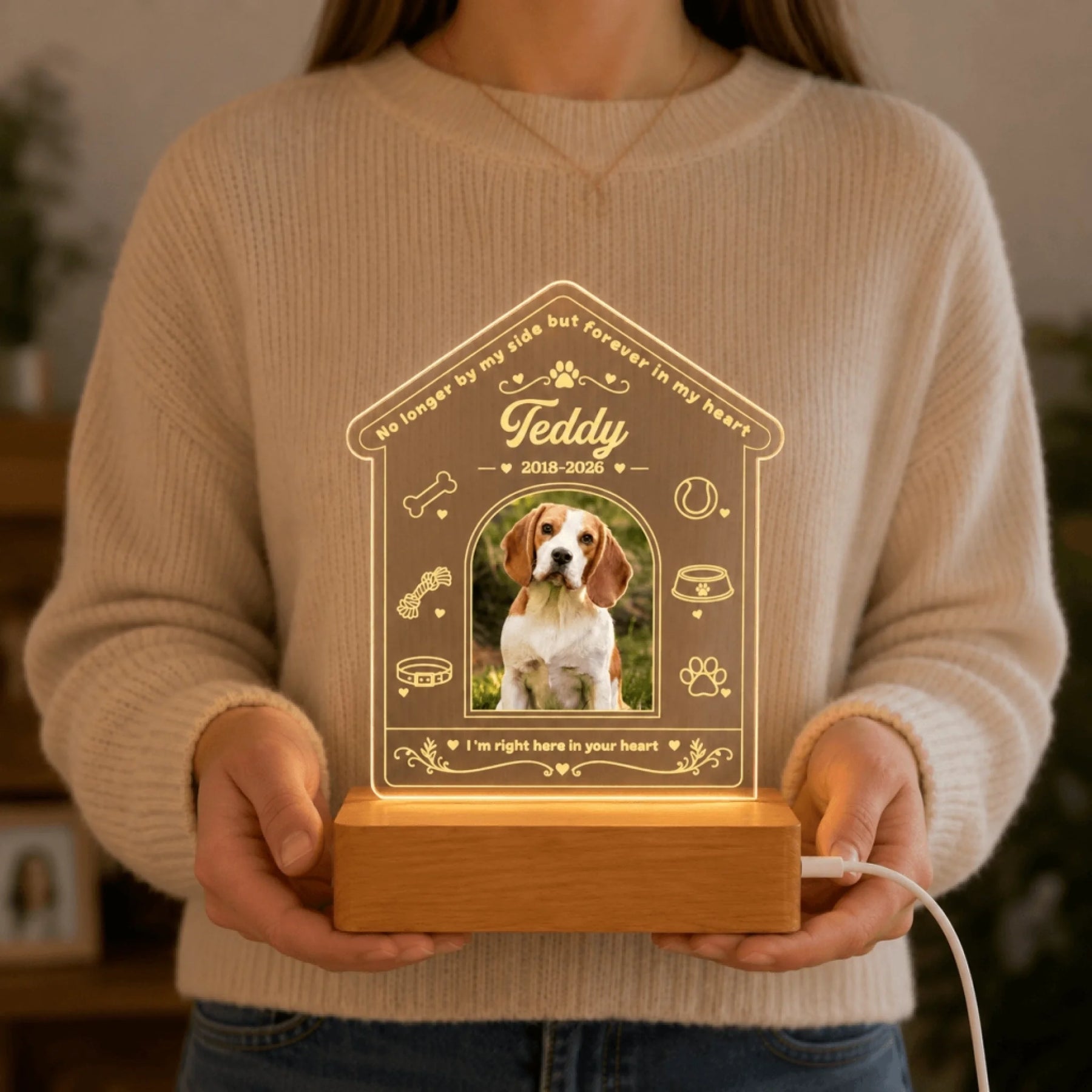 Pet memorial LED lamp with custom photo available in multiple sizes